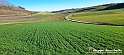 20230110_151203 - Dalla terra... il grano